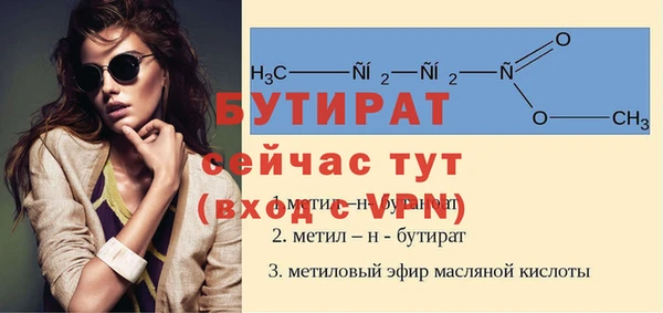 тгк Ельня