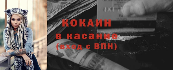 тгк Ельня