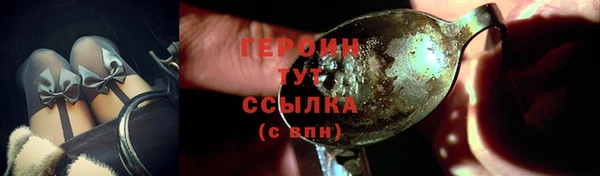 тгк Ельня