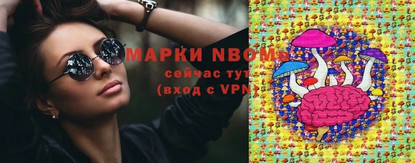 тгк Ельня