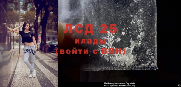 тгк Ельня