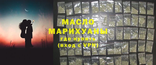 тгк Ельня