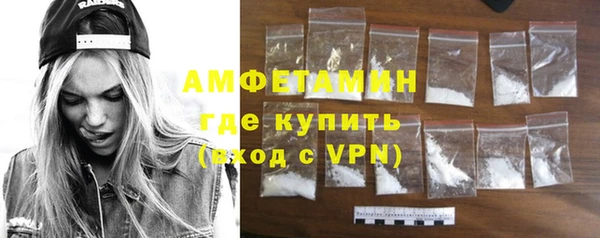 тгк Ельня