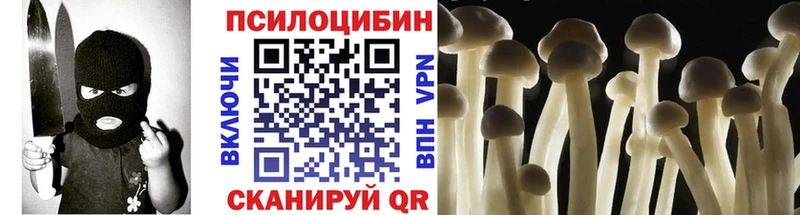 Галлюциногенные грибы MAGIC MUSHROOMS Купить где Новоузенск