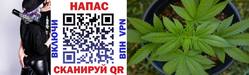 Купить  Новоузенск  Бошки марихуана планчик 